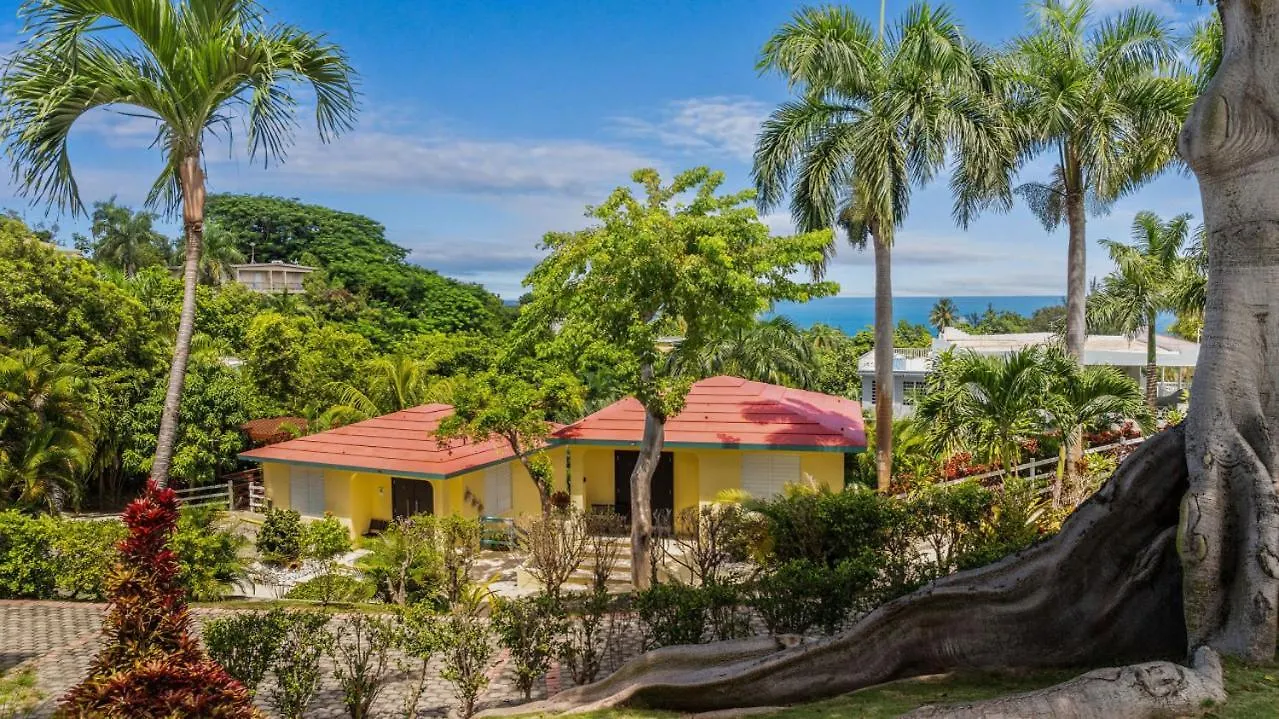 Casita 1 At Ceiba Tree Inn. Tranquility With Garden Views And Pergola With Ocean Overlook Rincon